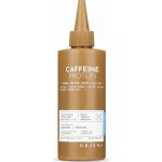 ORJENA Sérum na vlasy s kofeinem a proteiny Caffeine Protein Power Water Fill-Up 190 ml – Hledejceny.cz