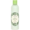 Tělová mléka Vivian Gray Beauty Green Tea tělové mléko 250 ml