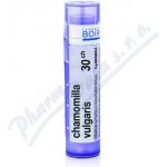 CHAMOMILLA VULGARIS POR 30CH GRA 1X4G – Hledejceny.cz