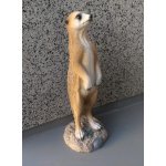 Surikata stojící střední – Sleviste.cz