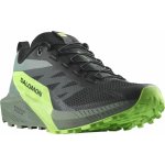 Salomon Sense Ride 5 Gore-TexFlint/Black/Grgeck L47312800 – Zboží Dáma