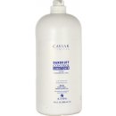 Alterna Caviar Clinical Dandruff Control Conditioner kondicionér proti lupům 2000 ml