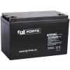 Olověná baterie fgForte 12V 100Ah 6FG100