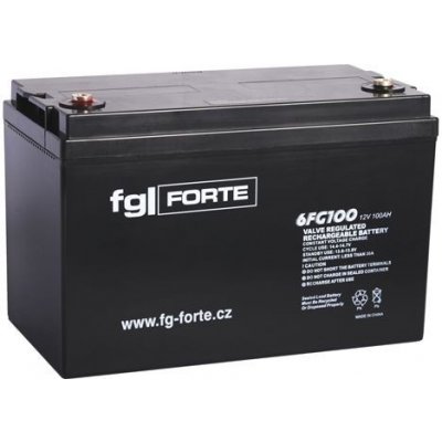 fgForte 12V 100Ah 6FG100 – Hledejceny.cz