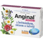 Dr. Müller Anginal s heřmánkem,slézem a šalvějí 16 tablet