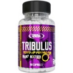 Real Pharm Tribulus Testo UP 60 kapslí – Hledejceny.cz