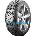 Nankang SP-7 255/30 R22 95V – Hledejceny.cz