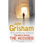 Theodore Boone: The Accused - John Grisham – Hledejceny.cz