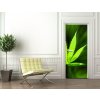 Tapety WEBLUX Samolepka na dveře fólie Marijuana background - 42226543 Marihuana pozadí rozměry 90 x 220 cm