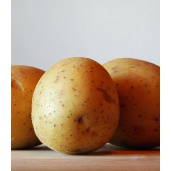 Sadbové brambory Sunshine - Solanum tuberosum - 5 kg