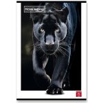 Pigna Animal školní sešit A4 linkovaný – Sleviste.cz