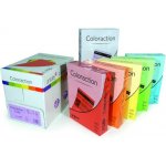 Papír barevný A4 80 g Image Coloraction MG28 Forest pastelově zelená 100 ks – Hledejceny.cz