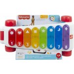 Mattel FP OBŘÍ XYLOFON – Hledejceny.cz