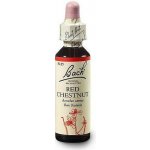 Bachovy květové esence Kaštan červený Red Chestnut 20 ml – Hledejceny.cz