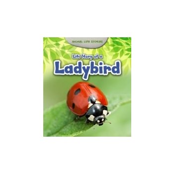 Life Story of a Ladybird - Guillain Charlotte