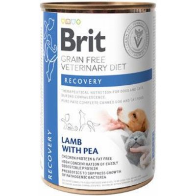 Brit Veterinary Diet Recovery Salmon 0,4 kg – Zboží Mobilmania