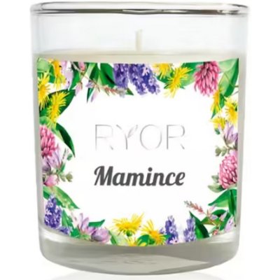 Ryor Mamince 65g – Hledejceny.cz