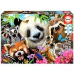 Educa Zvířátka Black Eyed Friends Selfie 300 dílků – Hledejceny.cz