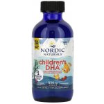 Nordic Naturals Children's DHA Omega 3 pro děti jahoda 530 mg 119 ml – Hledejceny.cz