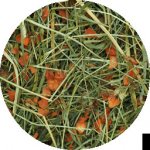 RabbitWeed Seno luční s mrkví 1,9 l 0,6 kg – Hledejceny.cz