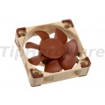 Noctua NF-A4x10 PWM – Zboží Živě
