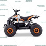 Lamax eFalcon ATV50M Orange – Zbozi.Blesk.cz