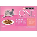 Purina ONE Junior minifiletky s lososem a mrkví ve šťávě 4 x 85 g – Zbozi.Blesk.cz