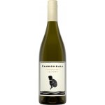 Cannonball Chardonnay Bílé 2020 13,7% 0,75 l (holá láhev) – Hledejceny.cz
