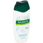 Palmolive Naturals Milk protein sprchový gel 250 ml – Zbozi.Blesk.cz