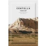 SKIN1004 Madagascar Centella Watergel Sheet Ampoule Mask 25 ml – Zboží Dáma