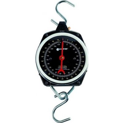 Albastar Digitální váha do 100 kg – Zboží Dáma