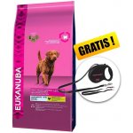 Eukanuba Adult Large Breed Weight Control 15 kg – Hledejceny.cz