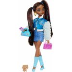 Barbie Dream Besties Barbie Brooklyn – Zbozi.Blesk.cz
