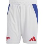 Adidas ARSENAL FC 24/25 domácí – Zbozi.Blesk.cz