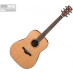 Ibanez AW65 – Hledejceny.cz