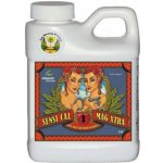 Advanced Nutrients Sensi Cal-Mag Xtra 250ml – Zboží Dáma