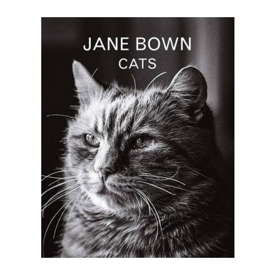 Jane Bown: Cats