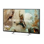 Panasonic TX-65FX623E – Hledejceny.cz