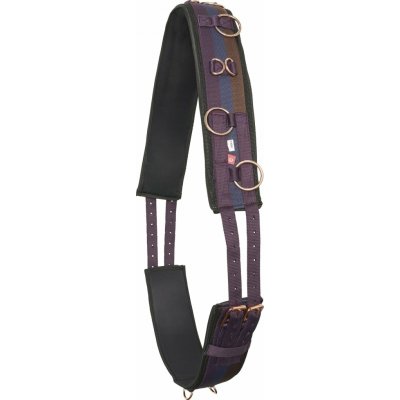 Imperial Riding Obřišník lonžovací Deluxe Extra multi bordeaux – Sleviste.cz