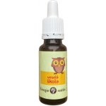 Bachovy esence Směs Veselá škola 20 ml – Hledejceny.cz