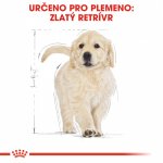 Royal Canin Golden Retriever Puppy 12 kg – Zboží Mobilmania