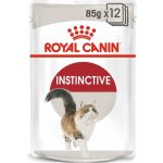 Royal Canin Instinctive jelly 12 x 85 g – Hledejceny.cz