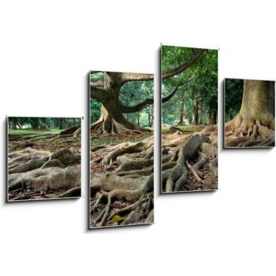 Obraz 4D čtyřdílný - 100 x 60 cm - Primeval rainforest in Kandy, Sri Lanka Pralesní deštný prales v Kandy na Srí Lance