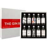 The Gin Box World Tour Edition 2020 42,9% 10 x 0,05 l (set) – Hledejceny.cz
