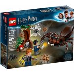 LEGO® Harry Potter™ 75950 Aragogovo doupě – Hledejceny.cz
