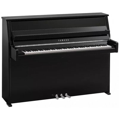 Yamaha B10 PEC – Zboží Dáma