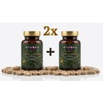 Bylinka Labs Liver Complex 2 x 90 kapslí – Hledejceny.cz