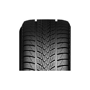 Minerva Frostrack UHP 215/50 R17 95V