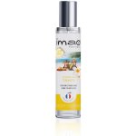 Imao 30 ml "Fleurs De TAHITI" CAR PERFUME – Hledejceny.cz