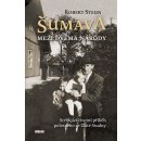 Šumava - Mezi dvěma národy - Robert Steun